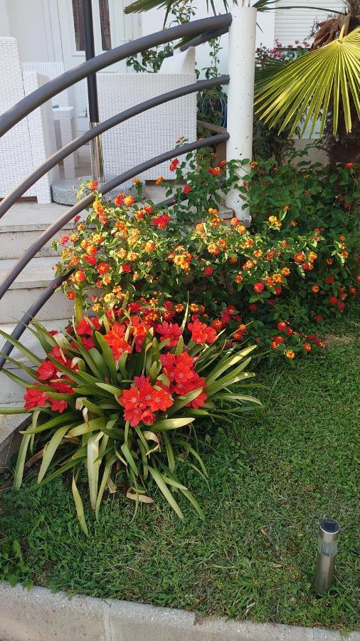 Apartments Tulipan - With Free Private Parking Garage Mostar Extérieur photo
